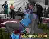 tabanovic.com