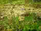 tabanovic.com