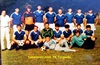 tabanovic.com