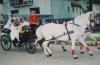 tabanovic.com
